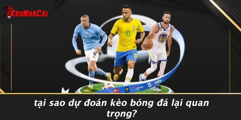 Tại Sao Dự Đoán Kèo Bóng Đá Lại Quan Trọng?