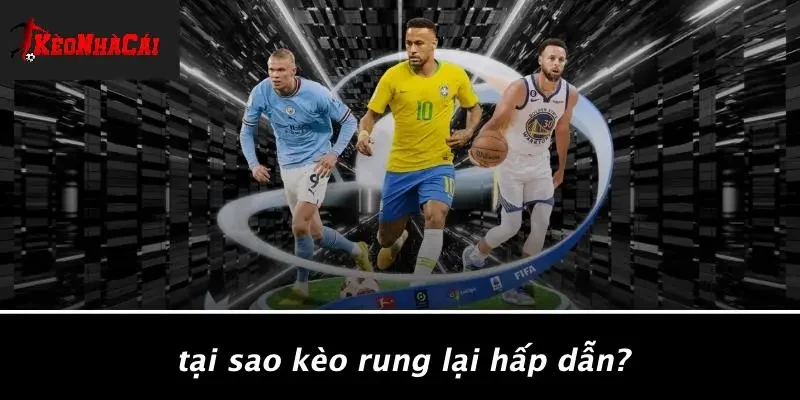 Tại Sao Kèo Rung Lại Hấp Dẫn?