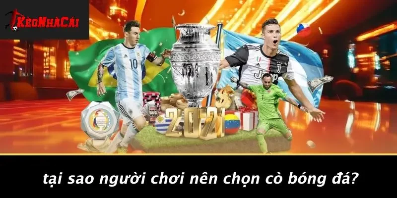 Tại Sao Người Chơi Nên Chọn Cò Bóng Đá?