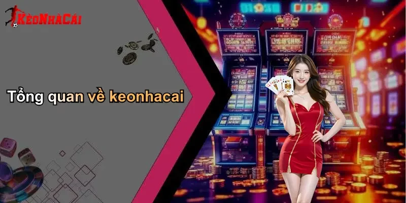 Tổng quan về keonhacai